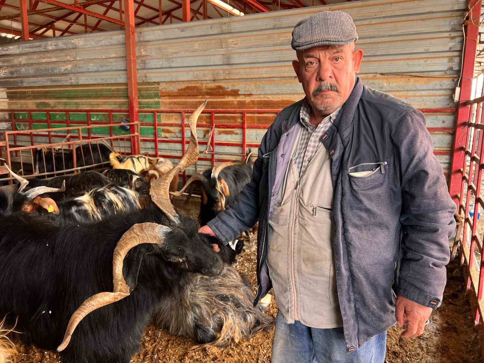 kahramanmarasta hayvan pazarinda sakinlik hakim 1 DThH5g1m
