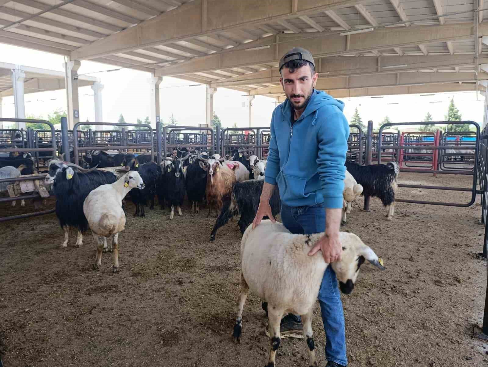 kahramanmarasta hayvan pazarinda sakinlik hakim 2 KDwlAOPq