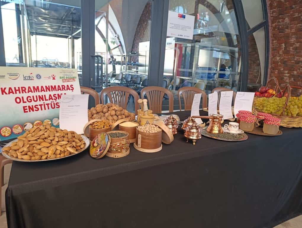 kahramanmarasta kl sik bag bozumu senligi 1