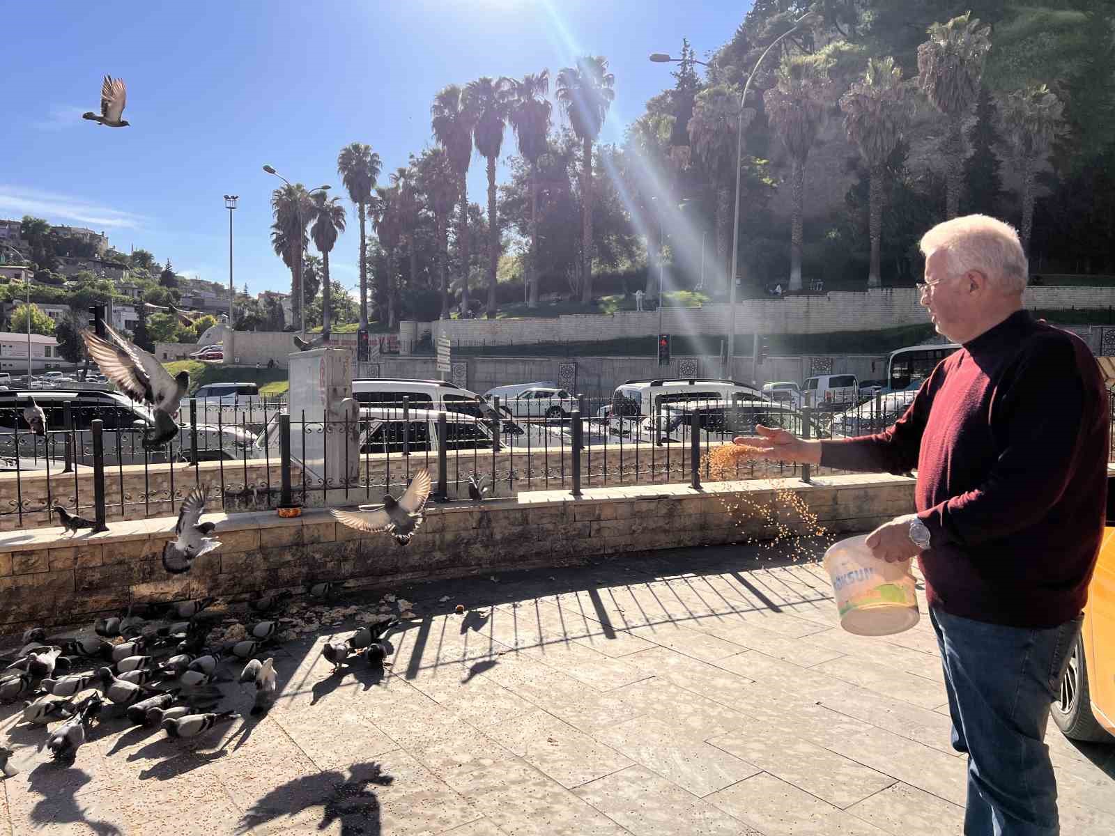 kahramanmarasta taksici esnafinin yol arkadasi guvercinler 0 2cQpWJlg