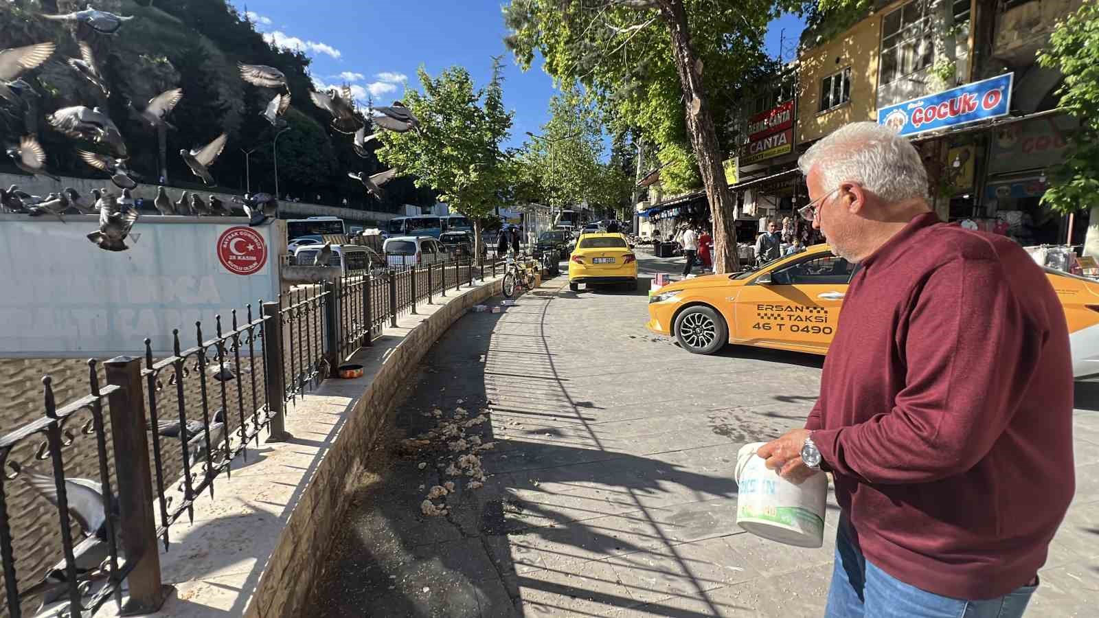 kahramanmarasta taksici esnafinin yol arkadasi guvercinler 3