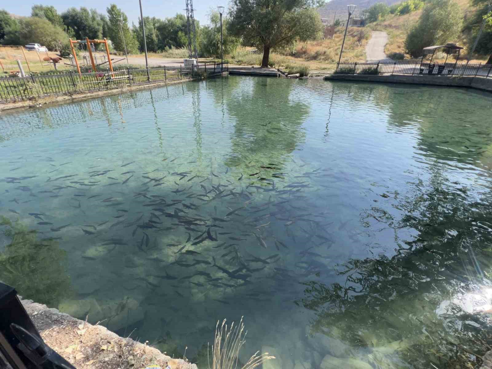 kahramanmarastaki balikli gol berrak suyu ve baliklariyla ziyaretcilerini agirliyor 4 rHGliYGY