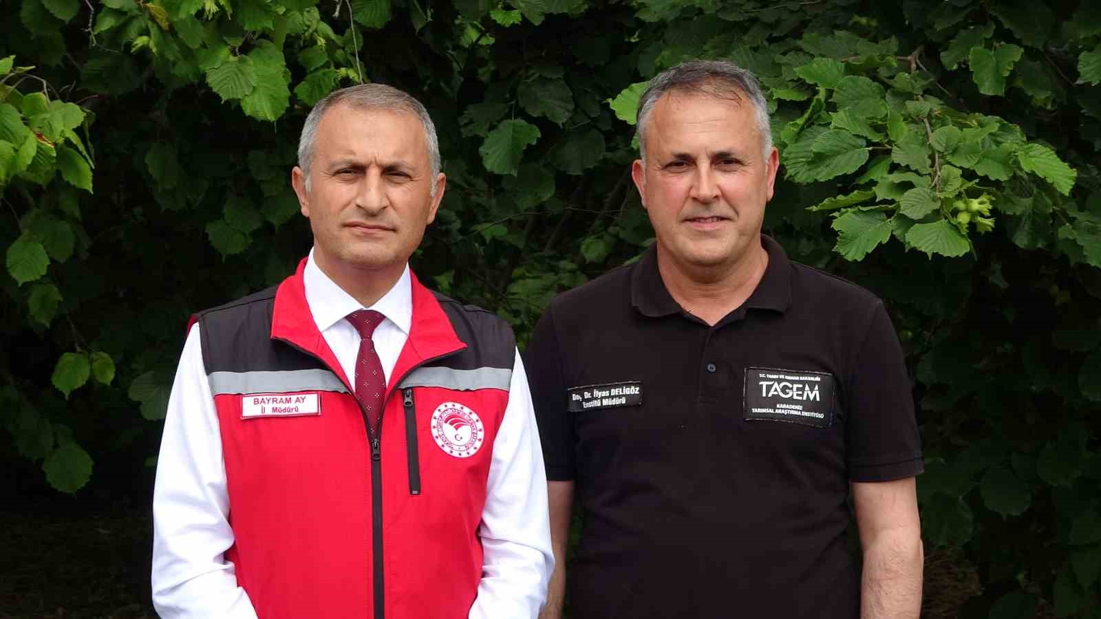 Kahverengi kokarcanın sonunu samuray arıları getirerek 7 kahverengi kokarcanin sonunu samuray arilari getirerek 3 pwVhjLJj
