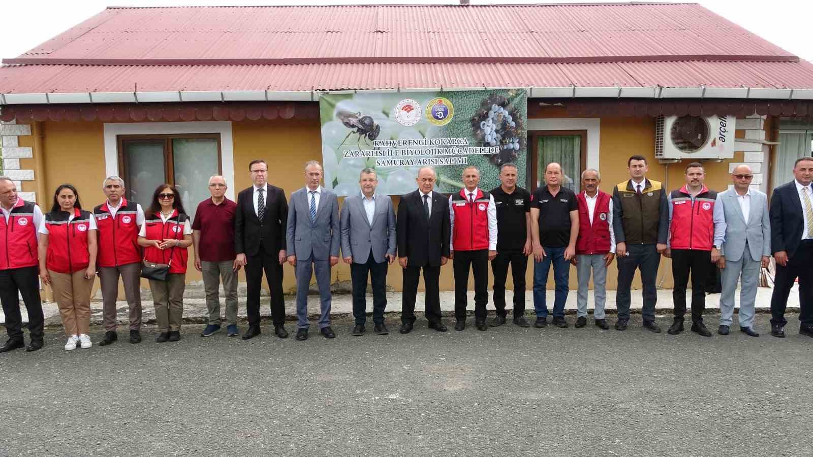Kahverengi kokarcanın sonunu samuray arıları getirerek 9 kahverengi kokarcanin sonunu samuray arilari getirerek 5
