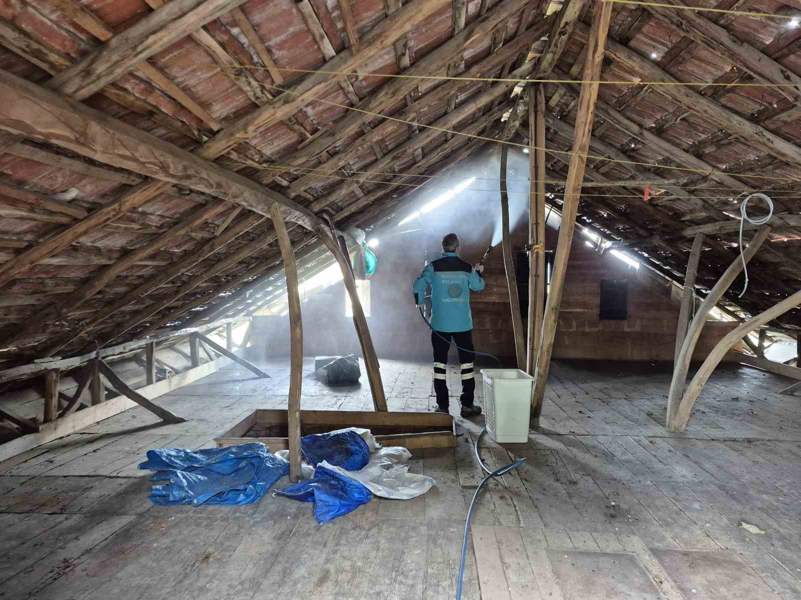 Kahverengi kokarcaya karşı kışlaklardan çıkış öncesi ilaçlama hız kazandı 10 kahverengi kokarcaya karsi kislaklardan cikis oncesi ilaclama hiz kazandi 6 pzOyqd2t