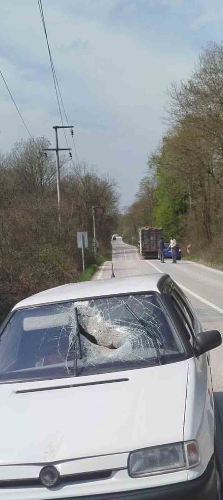 kamyondan dusen tomruk seyir halindeki otomobile saplandi 1 HUWkjfDn