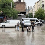 kamyonetin-arka-kapagi-acilinca-karpuzlar-yola-sacildi-XASCKQxq.jpg
