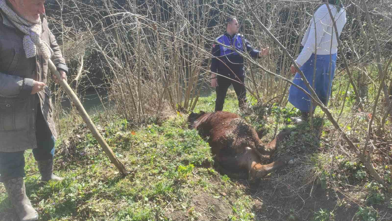 kanala dusen inegi zabita kurtardi 0