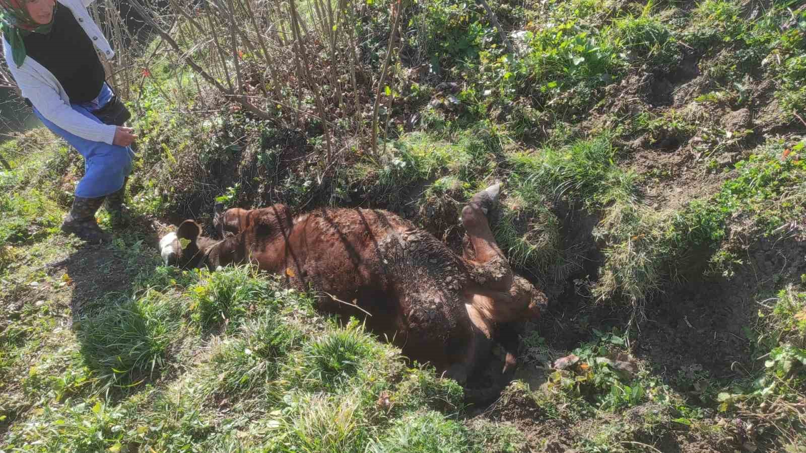 kanala dusen inegi zabita kurtardi 1 i2XBMtZK