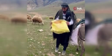 kangal-coban-gelene-kadar-kirsalda-dogan-kuzuya-kendi-yavrusu-gibi-sahip-cikti-4XCaJPBq.jpg