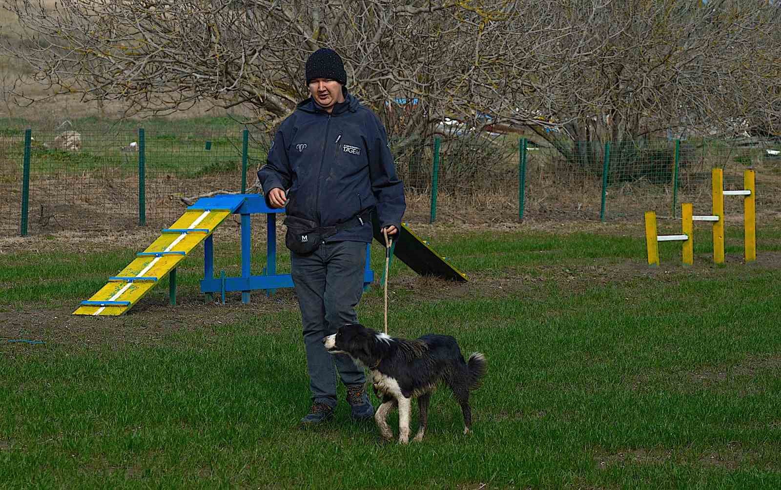 Kangal ve akbaştan sonra çobanlara hareketli ve heyecanlı yeni bir yardımcı geliyor 5 kangal ve akbastan sonra cobanlara hareketli ve heyecanli yeni bir yardimci geliyor 1 9EAirdQa