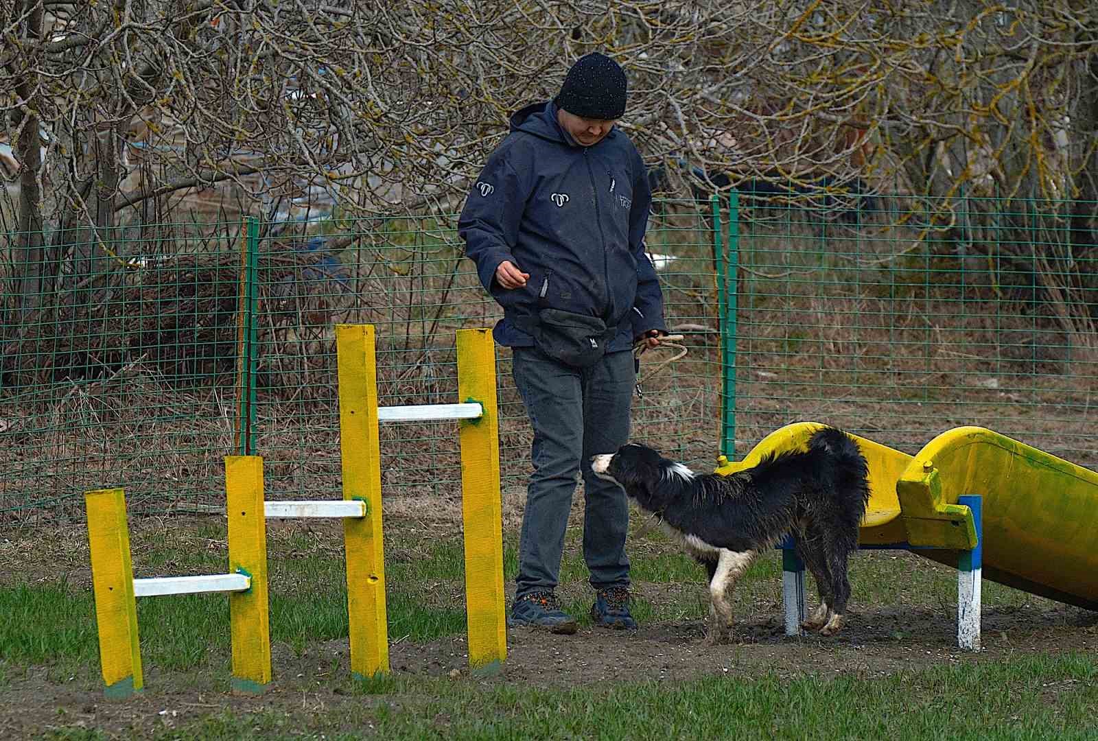 Kangal ve akbaştan sonra çobanlara hareketli ve heyecanlı yeni bir yardımcı geliyor 6 kangal ve akbastan sonra cobanlara hareketli ve heyecanli yeni bir yardimci geliyor 2 qViEW4zf