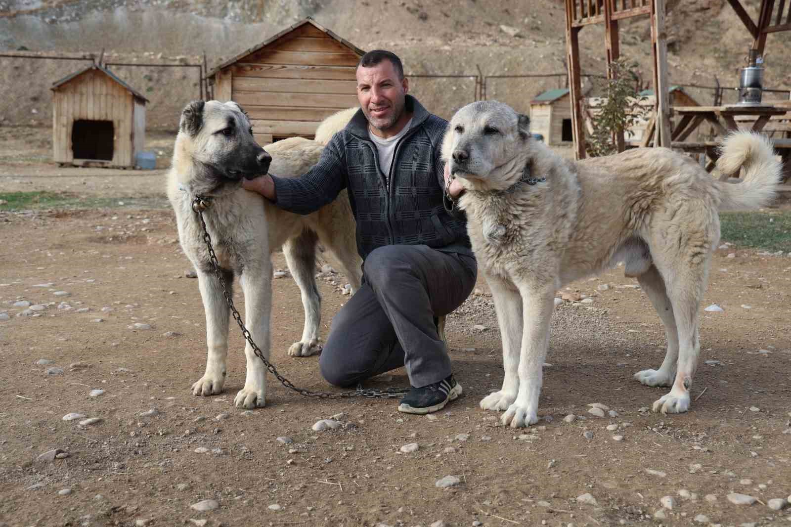 kangallar kis modunu acti kar yagisini beklemeye basladi 2 zyiqvnIe