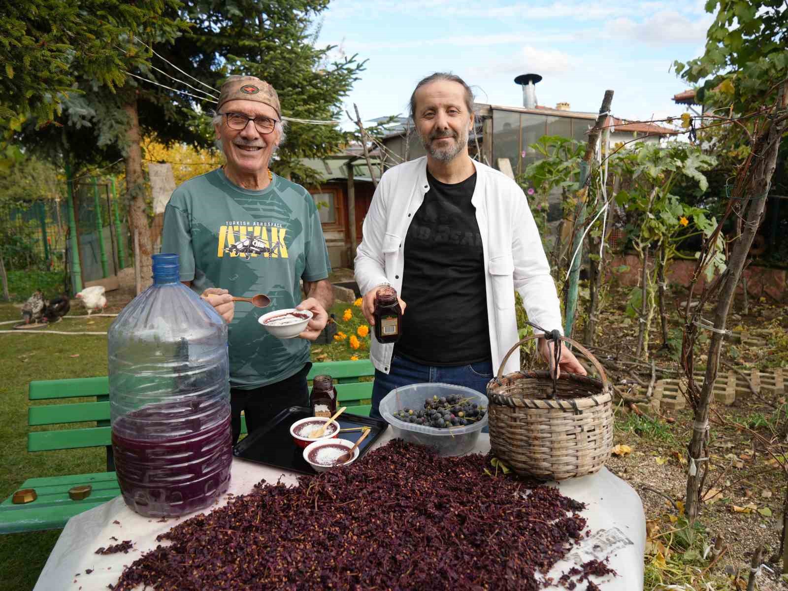 kanser hucrelerinin olusumunu onleyen kokulu uzumun uretimi arttirilacak 0 e46XFnTS