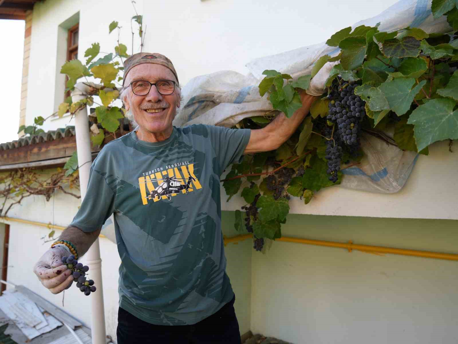 kanser hucrelerinin olusumunu onleyen kokulu uzumun uretimi arttirilacak 2 riGAaVgc