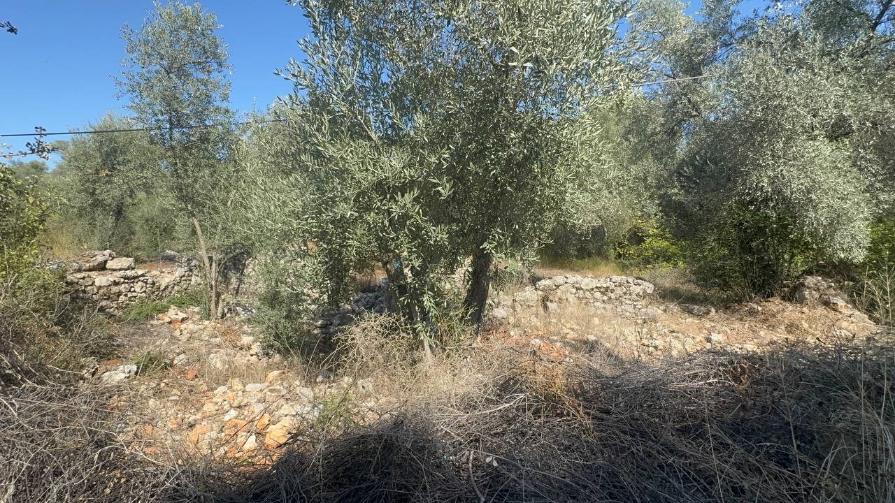 kanuninin rodos yolu uzerindeki tarihi sarnic unutuldu 1 HfcaUgpU
