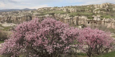 kapadokya-renklendi-dtAYnBIN.jpg