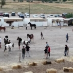 kapadokyada-guzellikleriyle-buyuleyen-atlar-podyuma-cikti-tzTXvawN.jpg