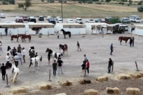 kapadokyada-guzellikleriyle-buyuleyen-atlar-podyuma-cikti-tzTXvawN.jpg