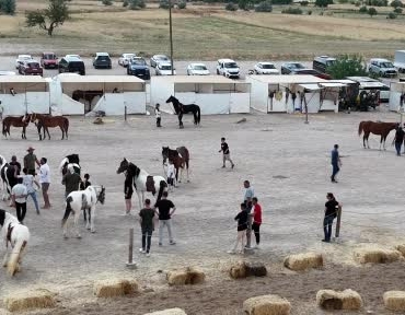 kapadokyada-guzellikleriyle-buyuleyen-atlar-podyuma-cikti-tzTXvawN.jpg