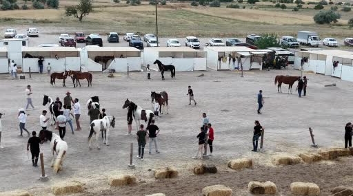 kapadokyada-guzellikleriyle-buyuleyen-atlar-podyuma-cikti-tzTXvawN.jpg