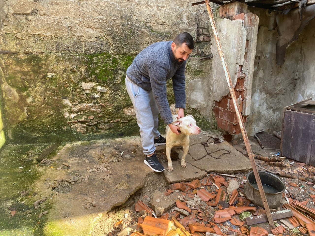kapali insaat cukuruna dusen kopegi itfaiye kurtardi 3 lZes2Ri4