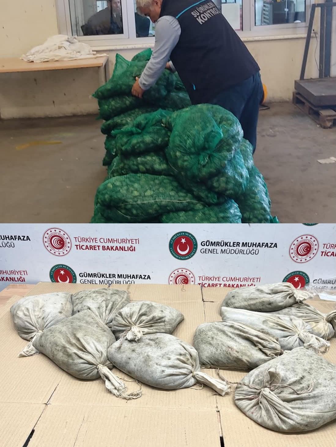 kapikulede 760 kilo kacak midye ele gecirildi 0 cIJcUZIa