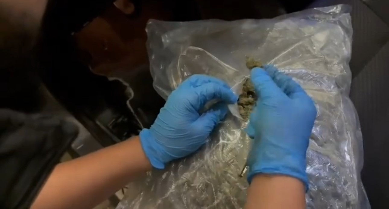 kapikulede aracin gizli bolmelerinden 23 kilo 820 gram skunk cikti 2 S93VGj9E