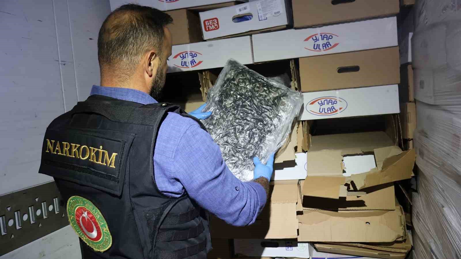 Kapıkule’de tavuk kolilerinden uyuşturucu çıktı: 526 kilo esrar ele geçirildi 4 kapikulede tavuk kolilerinden uyusturucu cikti 526 kilo esrar ele gecirildi 0