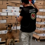 kapikulede-tavuk-kolilerinden-uyusturucu-cikti-526-kilo-esrar-ele-gecirildi-n1A1j3gI.jpg