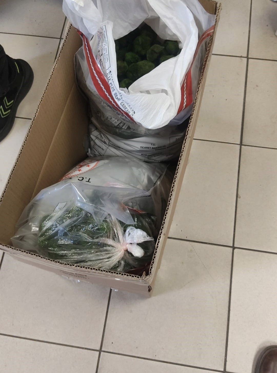 kapikulede yolcu otobusunde 2 bin adet canli yesil alg ele gecirildi 1 jZpYiwiE