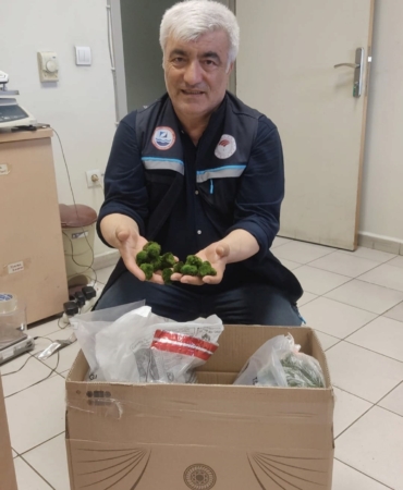kapikulede-yolcu-otobusunde-2-bin-adet-canli-yesil-alg-ele-gecirildi-jCtXPnL4.jpg