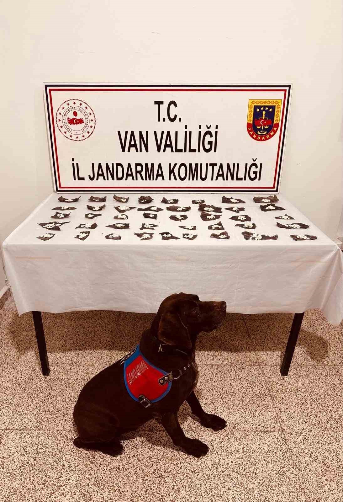 kapsulun icinden ilac yerine uyusturucu cikti 0 CQOEOc1l