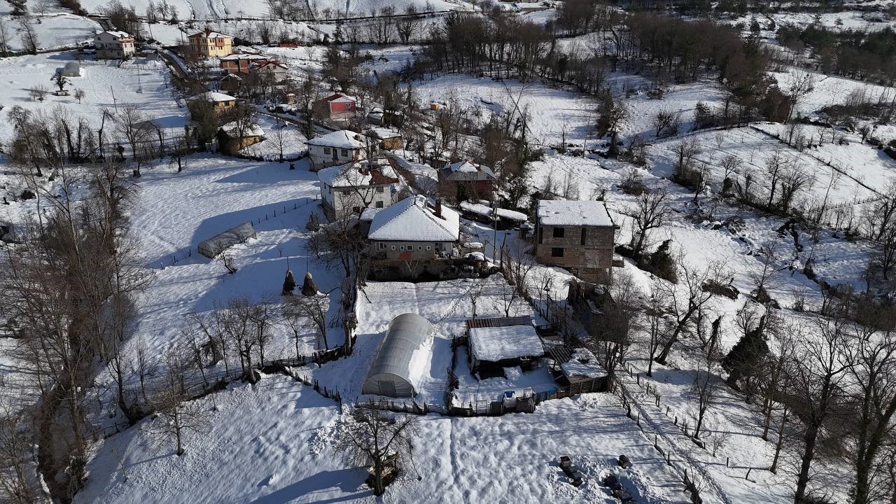 kar birikintisine dayanamayan seralar coktu 1 fJRAR2gv