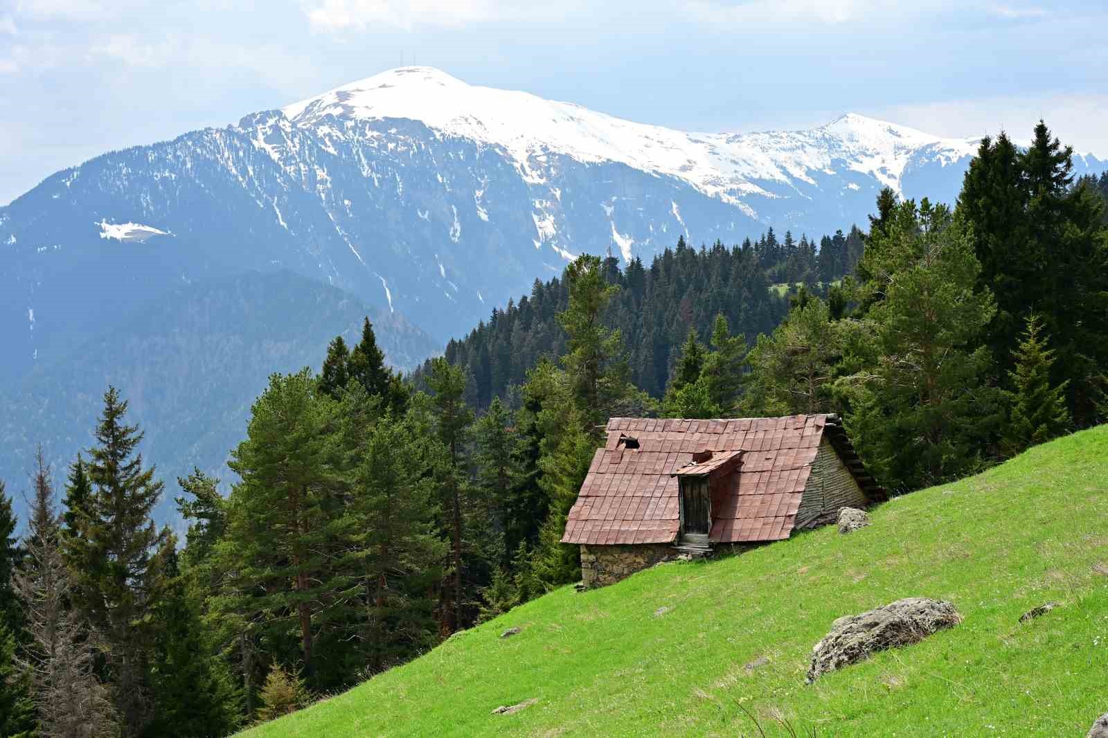 Kar kütlelerinden bahar çiçeklerine yürüdüler 5 kar kutlelerinden bahar ciceklerine yuruduler 1 EhyM4A7Y