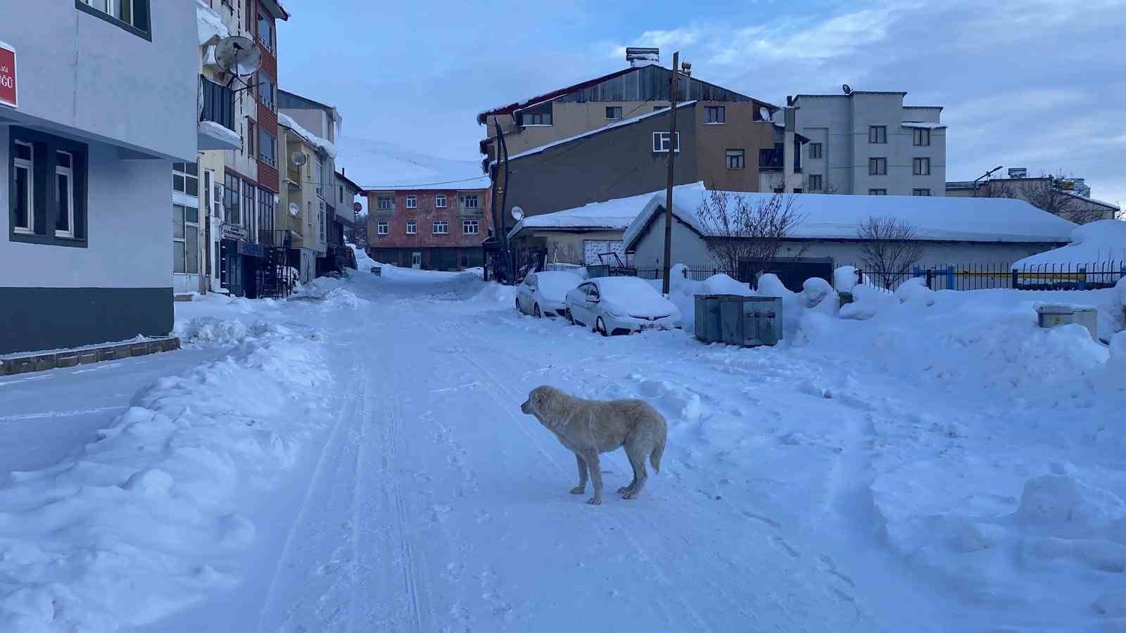 kar ve buzla kapli karliova sessizlige burundu 4 ivOSlaMd