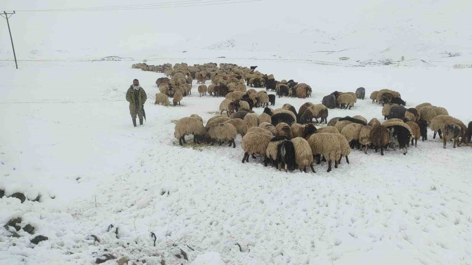 kar yagdi koyun surusu yaylada kaldi 2 iXa4gkaQ