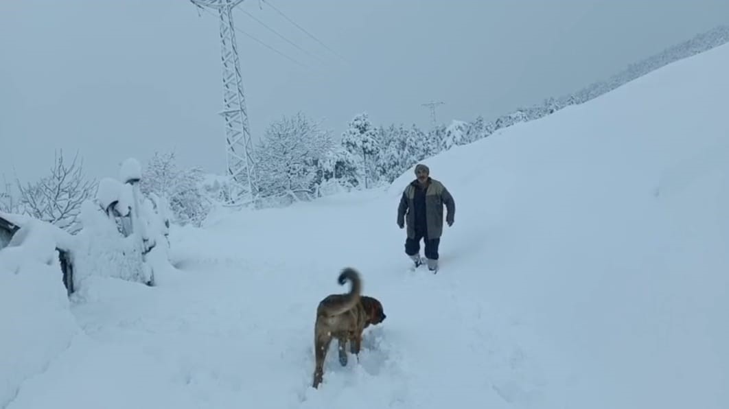 kar yagisi adanada koyluyu sevindirdi 1 6t2P2G7f