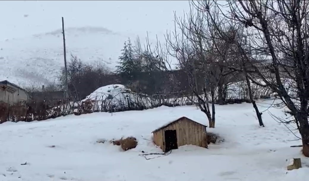 kar yagisi adanada koyluyu sevindirdi 3 7ZUZjB51