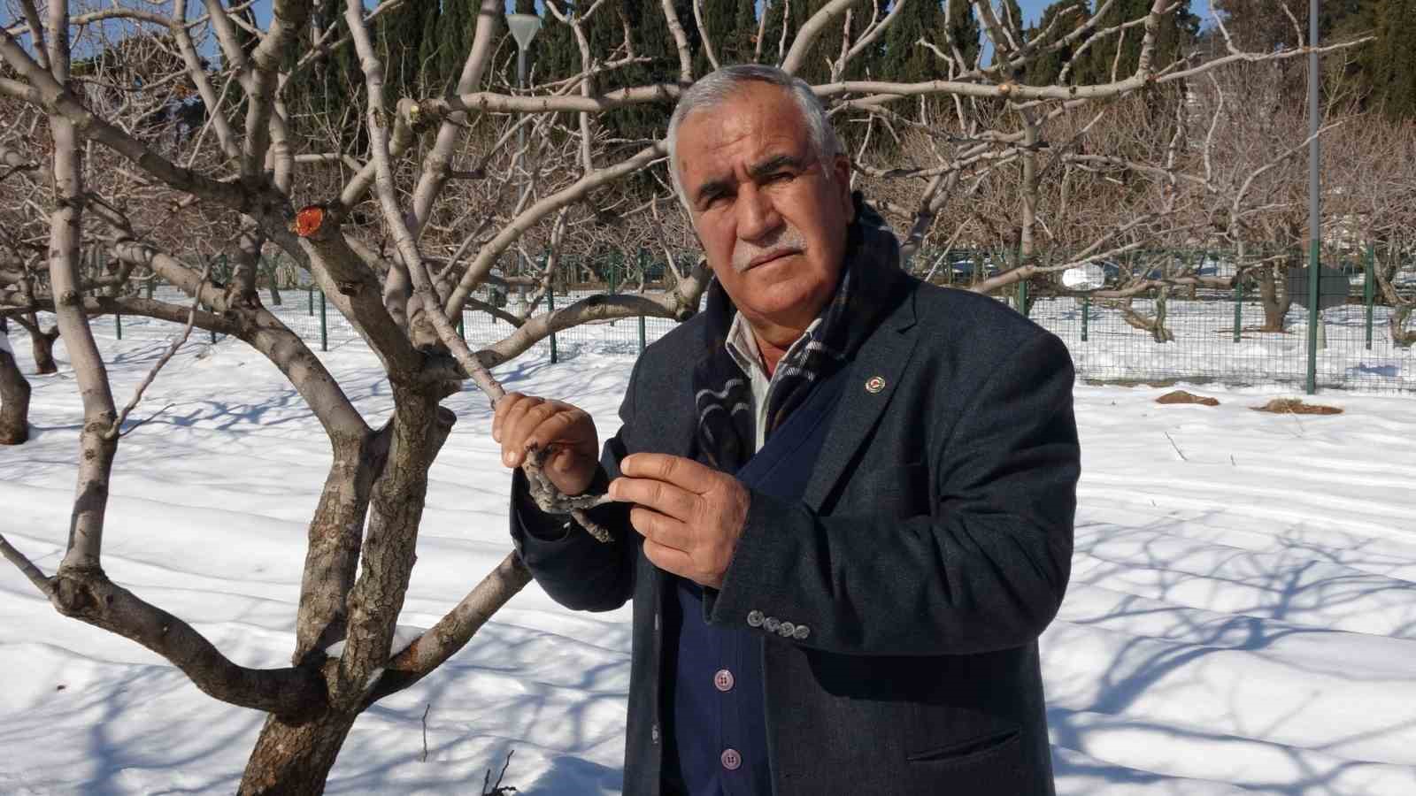 kar yagisi gaziantepte ciftcinin yuzunu guldurdu 3 CelXJvR7