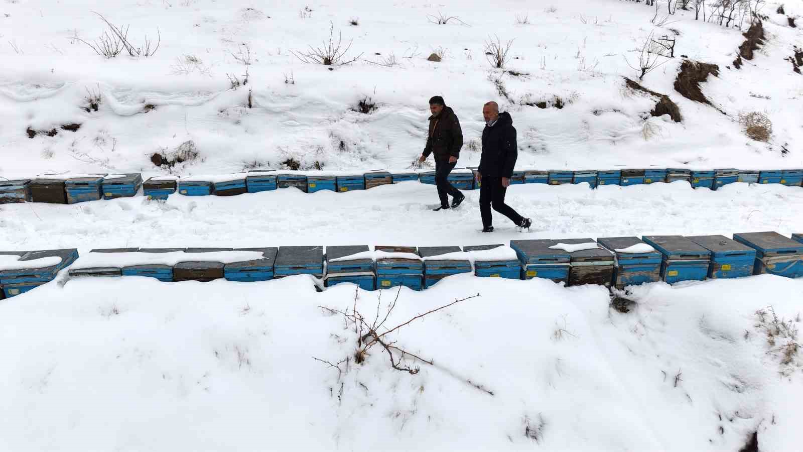 Kar yağışı, koloni kayıplarını ve hastalıkları minimuma indirdi: Arıcılar sezonundan ümitli 5 kar yagisi koloni kayiplarini ve hastaliklari minimuma indirdi aricilar sezonundan umitli 1 G1PpT4IT