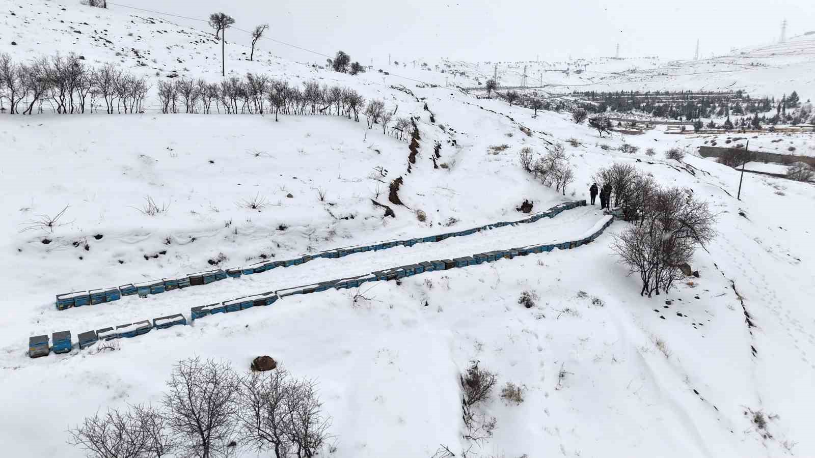 Kar yağışı, koloni kayıplarını ve hastalıkları minimuma indirdi: Arıcılar sezonundan ümitli 20 kar yagisi koloni kayiplarini ve hastaliklari minimuma indirdi aricilar sezonundan umitli 16 Hj7cGDck
