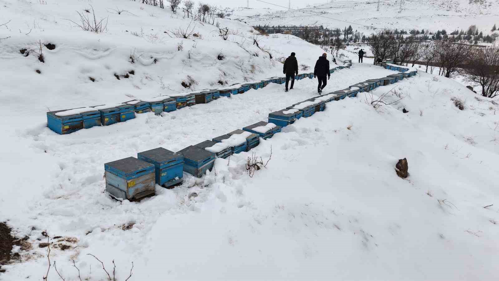 Kar yağışı, koloni kayıplarını ve hastalıkları minimuma indirdi: Arıcılar sezonundan ümitli 7 kar yagisi koloni kayiplarini ve hastaliklari minimuma indirdi aricilar sezonundan umitli 3 eB96hgC3
