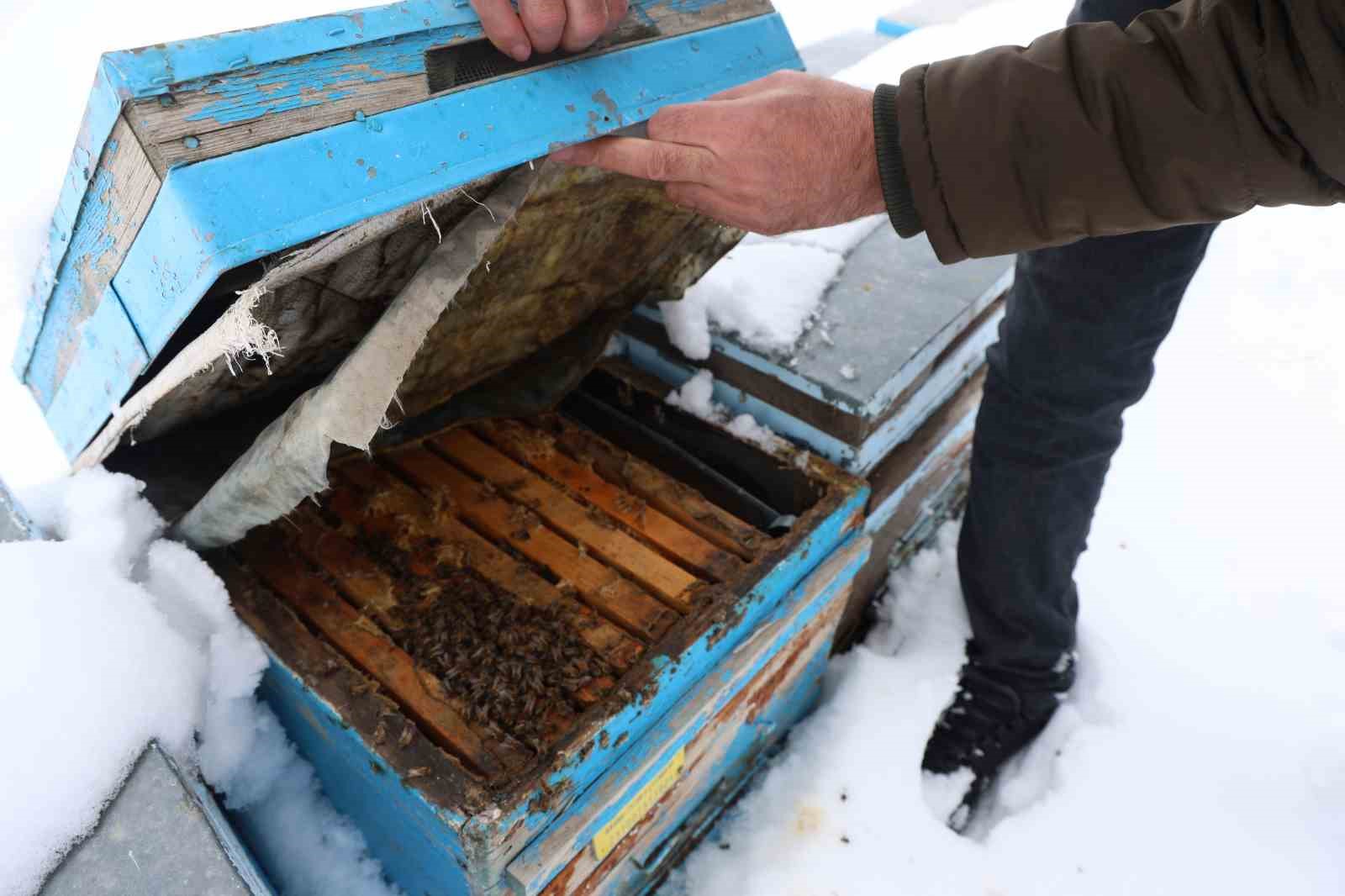 Kar yağışı, koloni kayıplarını ve hastalıkları minimuma indirdi: Arıcılar sezonundan ümitli 9 kar yagisi koloni kayiplarini ve hastaliklari minimuma indirdi aricilar sezonundan umitli 5 msMmfEI7