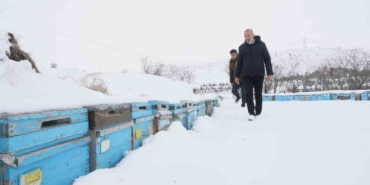kar-yagisi-koloni-kayiplarini-ve-hastaliklari-minimuma-indirdi-aricilar-sezonundan-umitli-mVAfcrwe.jpg