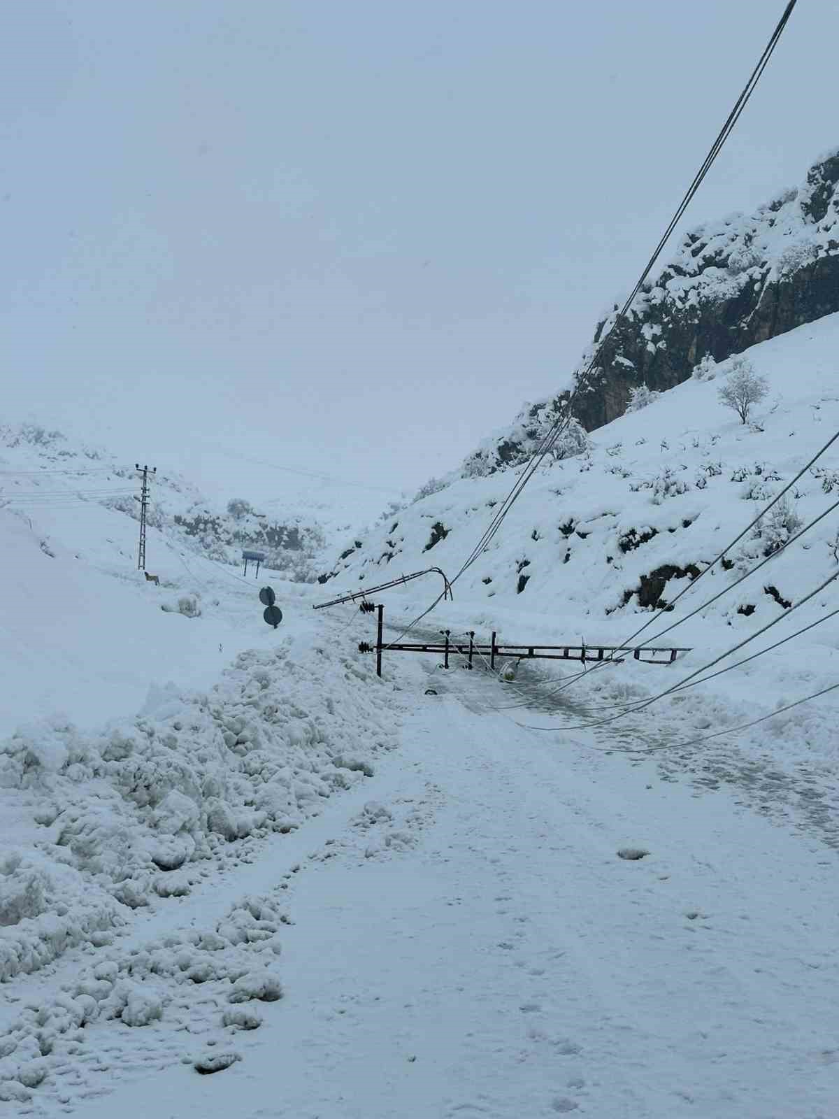 kar yagisi nedeniyle devrilen 300 elektrik diregi yenilendi 4 IfrZdryN