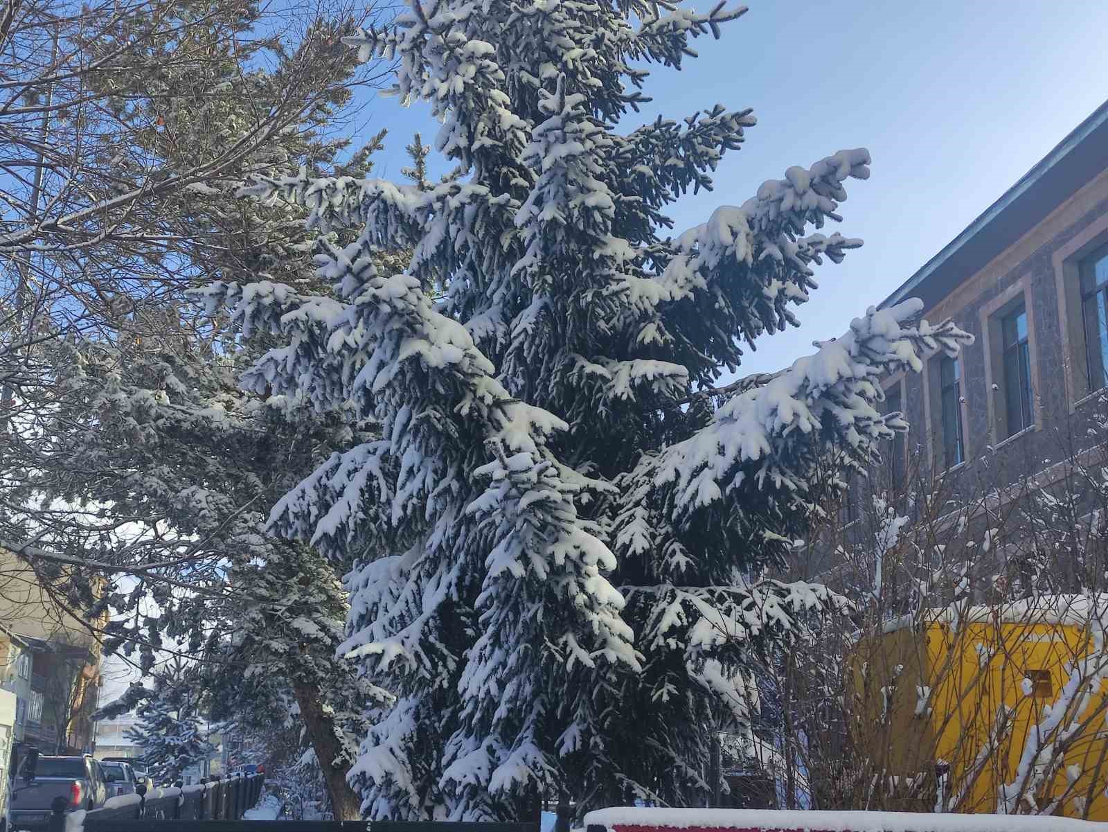 kar yagisi sonrasi kentte kartpostallik goruntuler olustu 4 pGPvU2Fv