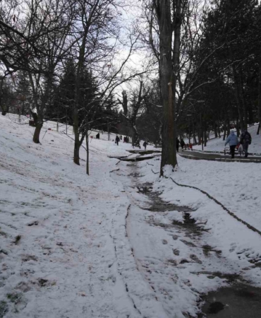 kar-yagisini-firsata-ceviren-ankaralilar-parklara-akin-etti-UZyiTLYt.jpg