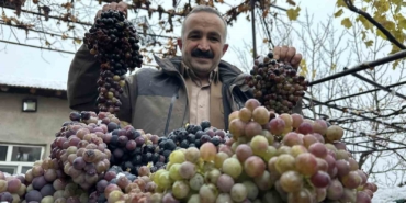 kara-kisa-meydan-okuyan-lezzet-kislik-uzum-dalindan-koparildi-Ymc8hZvA.jpg