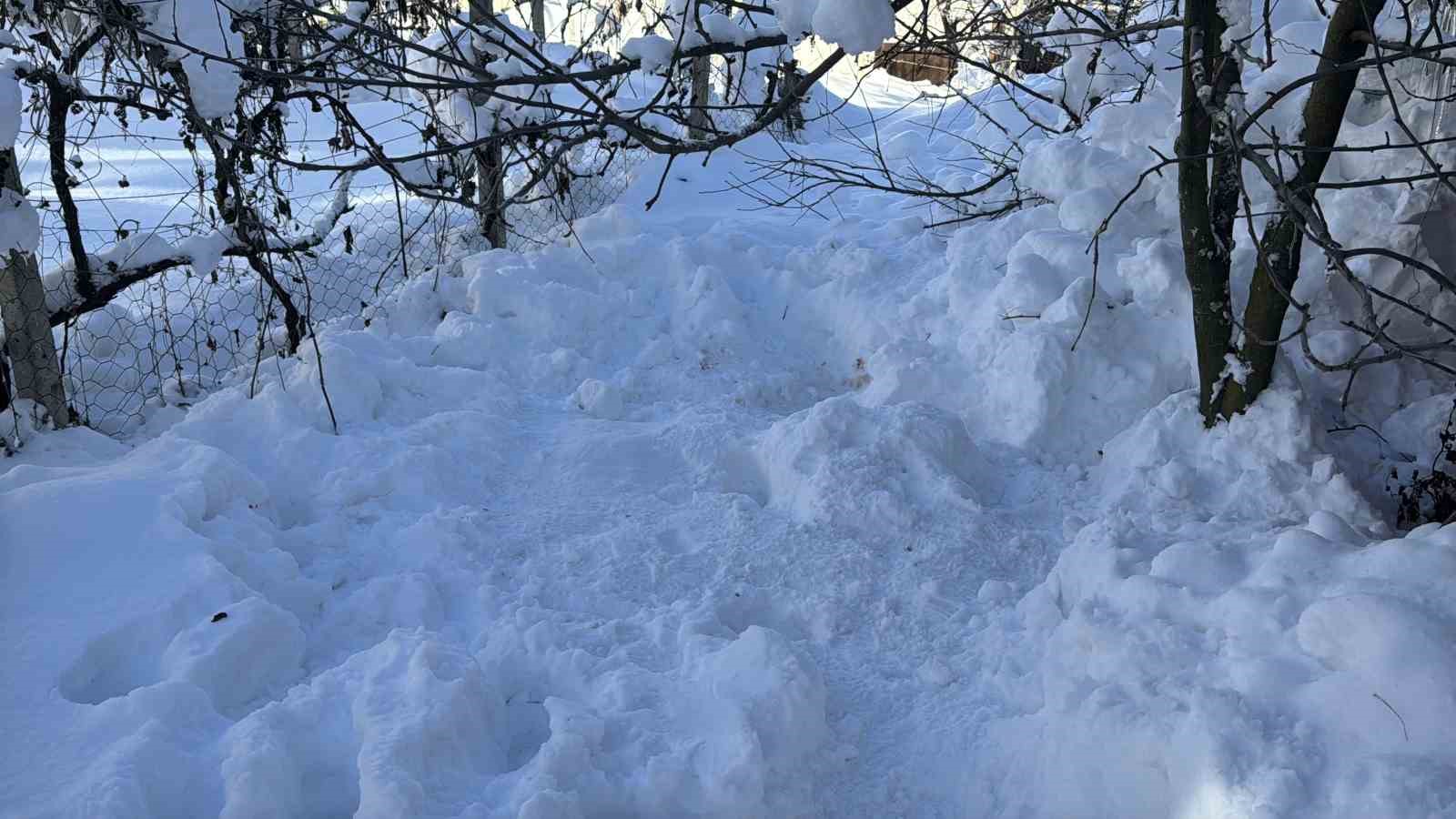 karabukte 80 yasindaki kadin donmus halde olu bulundu 2 QaBNiYau